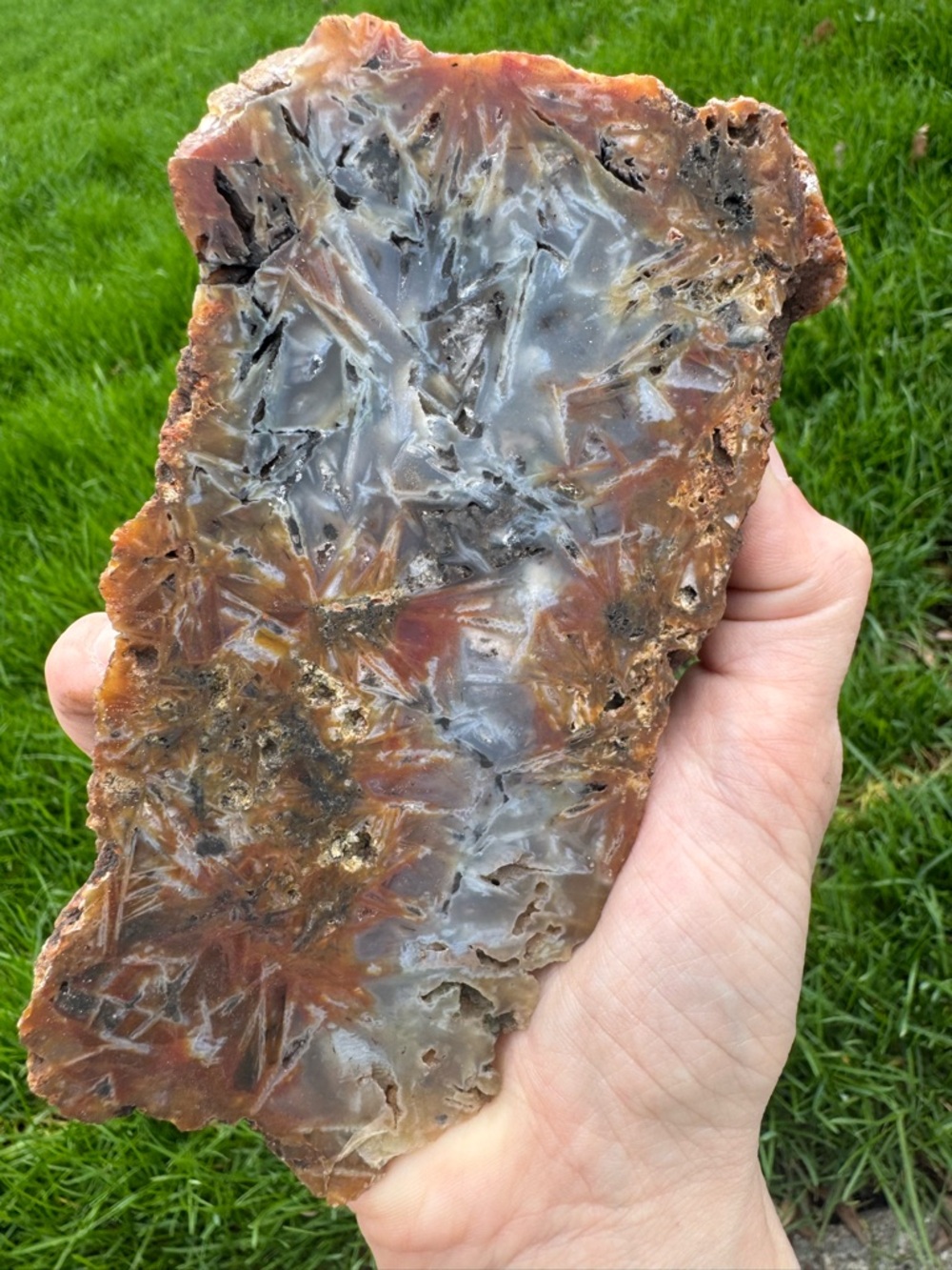 Turkish stick Agate display or Lapidary